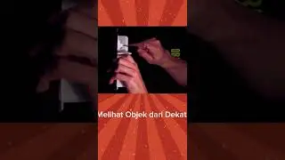 video original tiktok : Object2.0