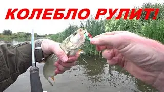 Вот это Блесна! Я в Восторге!