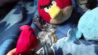 Angry birds laptastic adventure thanksgiving special tralier