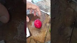 sinugba + kinilaw = sinuglaw 😄