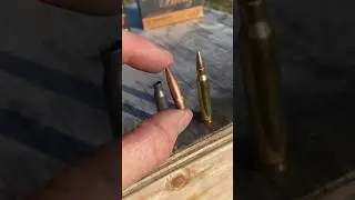 AK-74 Bullet Vs AR-15 Bullet 