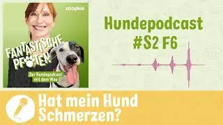 Schmerzen bei Hunden erkennen und lindern | zooplus Hundepodcast # S2 F6