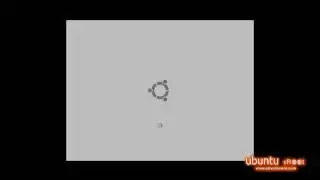 Paw-Ubuntu Plymouth Theme Preview