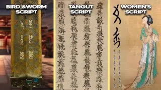 Alternative Chinese Writing Systems You NEVER Knew Existed
