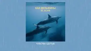 Как дельфины - El Elvis (Lyric Video)
