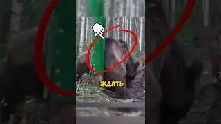 😨 ВОТ ДЛЯ ЧЕГО ОН ЭТО СДЕЛАЛ #факты #новости