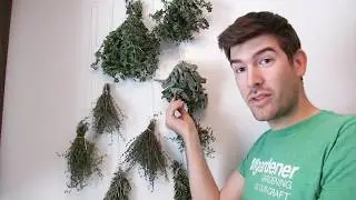 Never Use an Oven or Dehydrator to Dry Herbs Again With This Century Old Method