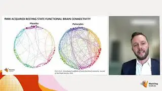 Research Showcase - Dr Adam Bayes, New treatments for depression: Psychedelic-Assisted Therapy