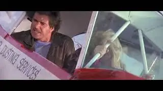 Bird on a Wire - flying