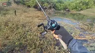 Iwaknya Suka Bercanda Gess