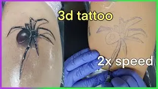 3d tattoo spider / time lapse