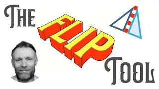 The SketchUp Flip Tool.
