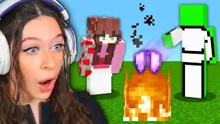 How I Lost the ONLY ELYTRA on the Dream SMP...