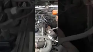 11 августа 2021 г.