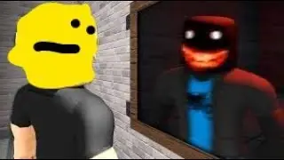 i played roblox THE MIRROR
