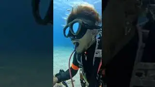 Dentist fish