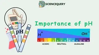 Importance of pH
