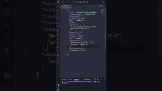 Version Numbers in package.json 