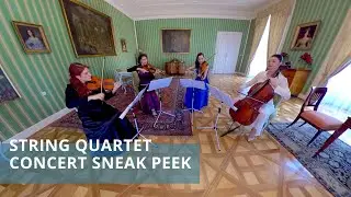 360° Classical Music Concert - String Quartet: Sneak Peek in 8K