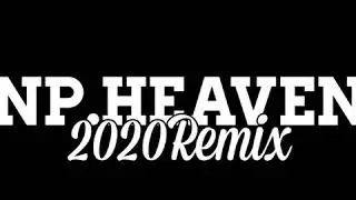 NP HEAVEN x PAEA.C (Hello La Dark Light)