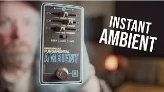 The NEW Walrus Audio Fundamental Ambient Reverb!