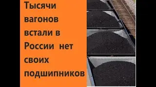 В России нет семян укропа. Нет своих гвоздей и подшипников, а чего ещё нет