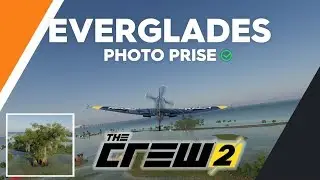 THE CREW 2 Everglades - Cyprès Photo