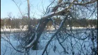 Paysage en hiver ^^