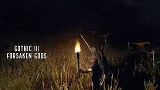 GOTHIC 3 ОТВЕРГНУТЫЕ БОГИ [4]