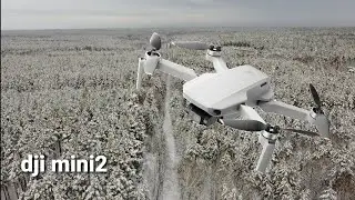 Русский лес с высоты птичьего полета.