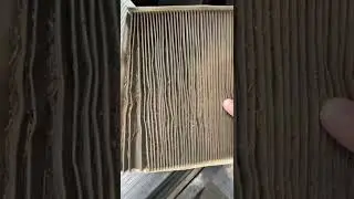 12 yr old Cabin Filter