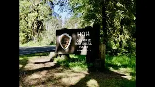 Hoh Rainforest Campground Tour - Olympic National Park June 2024