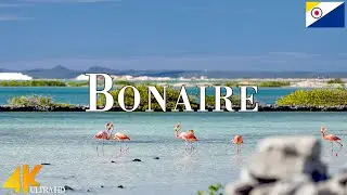 Bonaire 4K Ultra HD • Stunning Footage Bonaire, Scenic Relaxation Film with Calming Music.