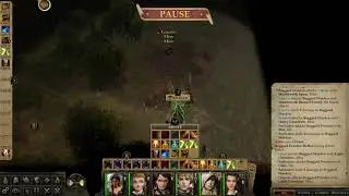 Pathfinder Kingmaker: Boggard Warden