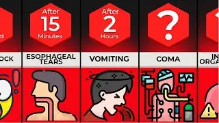 TIMELINE: What If You Eat Glass?