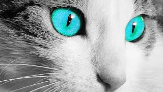 Realce e mudança na cor dos olhos - Photoshop - mkd