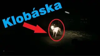 POZOR NA KLOBÁSKY!!! Escape the Backrooms