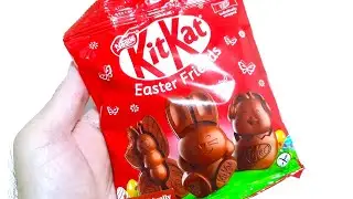 KIT KAT 😺🐨🐰 Easter Friends Chocolate Bunny
