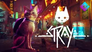 Радиостанция Stray #3
