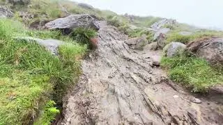 Scotland, Ben Lomond, June 2025.