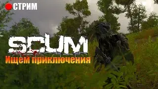 Возвращение на SCUM DAY SERVER. Говорим о стримснайпе. 
