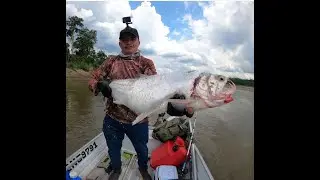UNA PESCA DE PAYARAS MONSTRUOSAS