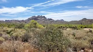 (223) Our First Vacation in our new Travel Trailer – Peralta Trail, Superstition Mountains, Arizona