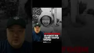 Только такой закон для них будет полезным!