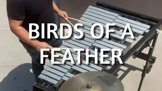Billie Eilish - Birds of a Feather (percussion cover)