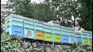 La 9 favi Jolly Quarti l'arnia che segue il tempo