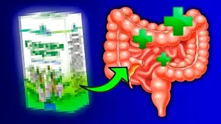 Учёные из Китая Рассказали, Как Справиться с ВОСПАЛЕНИЕМ в КИШЕЧНИКЕ