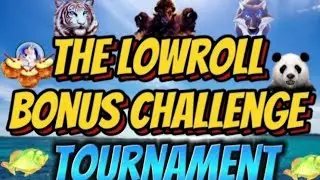 THE FINAL Lowroll Bonus Challenge TOURNAMENT🥳🎉👏🙏🍀🍀🍀🍀🍀