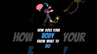 How Does Your Body KNOW What To Do? #shorts