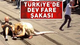 TÜRKİYE'DE DEV FARE ŞAKASI ! w/ JONOTHON LYONS